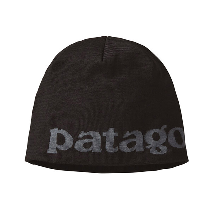 Patagonia Beanie Hat 2023