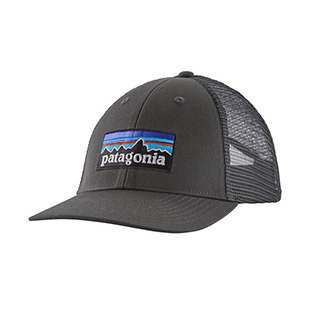 Patagonia P-6 Logo LoPro Trucker Hat 2023