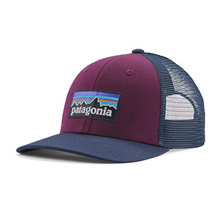 Patagonia P-6 Logo Trucker Hat 2024