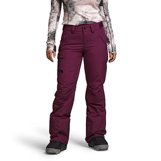 The North Face Freedom Insulated Pant - Women's 2024