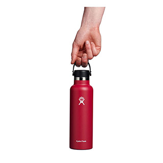 Hydro Flask Standard Mouth Bottle with Flex Cap - 21 oz.