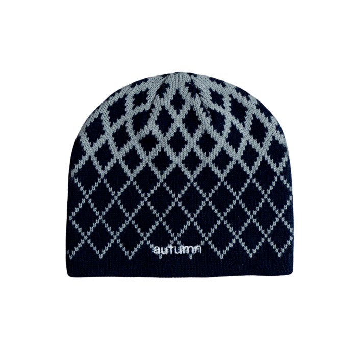 Autumn Warp Beanie