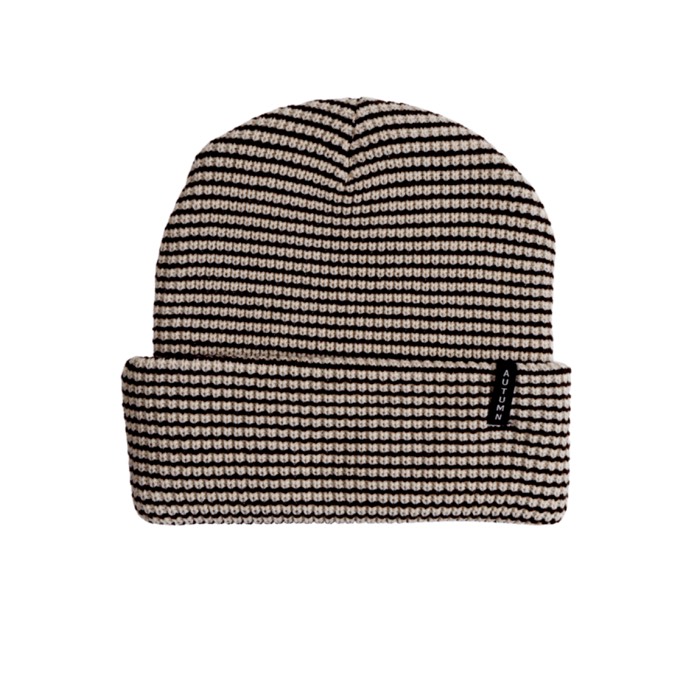 Autumn Stripe Beanie
