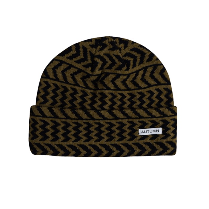 Autumn Chevron Beanie
