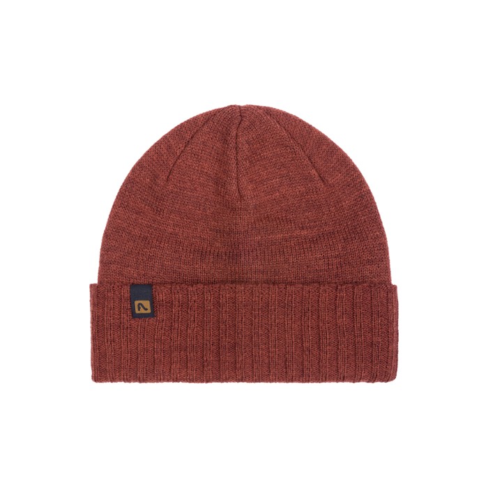 Flylow Forecaster Beanie