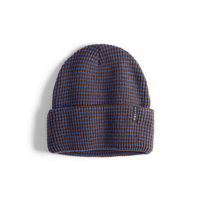 Autumn Stripe Beanie