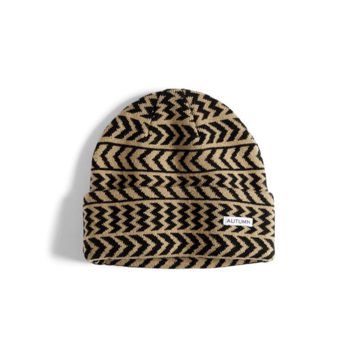 Autumn Chevron Beanie