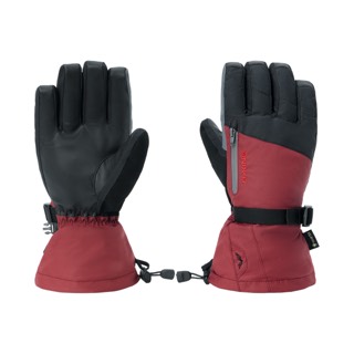 Dakine Titan 2.0 Gore-Tex Glove - Men's