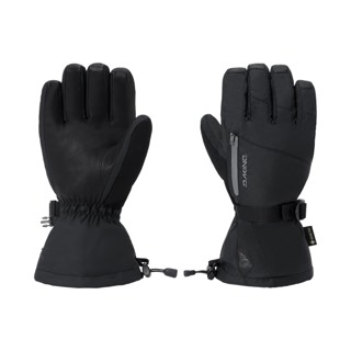 Dakine Titan 2.0 Leather DLX Gore-Tex Glove - Men's