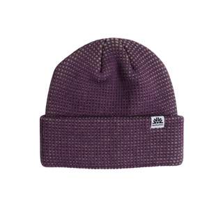 Autumn Static Beanie 2027