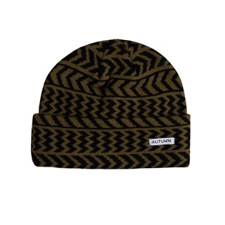 Autumn Chevron Beanie 2027