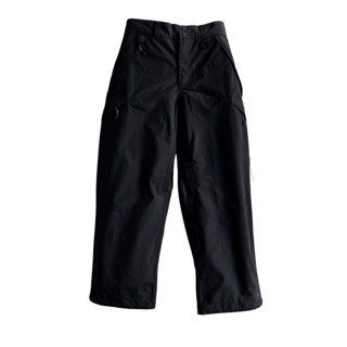 Autumn Shadow 3L Pant - Men's