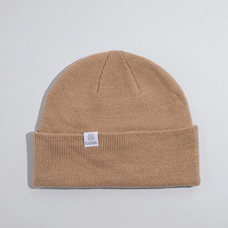 Coal The FLT Beanie