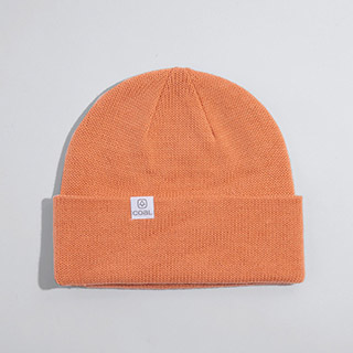 Coal The FLT Beanie