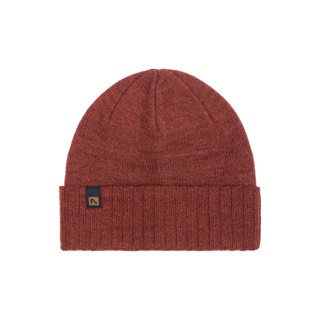 Flylow Forecaster Beanie 2026