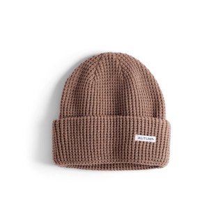 Autumn Waffle Beanie 2026