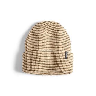 Autumn Stripe Beanie