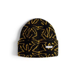 Autumn Craft Beanie