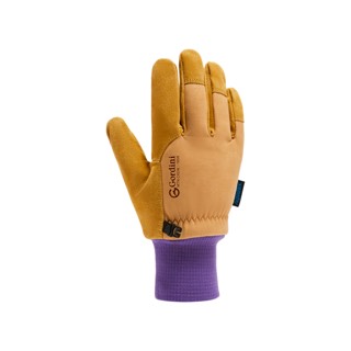 Gordini MTN Guide Glove - Women's