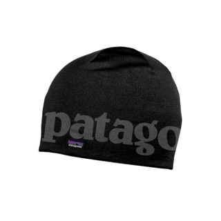 Patagonia Beanie Hat 2026