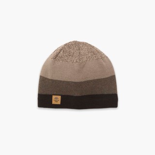 Turtle Fur Ocean Ragg Wool BTV Beanie 2026