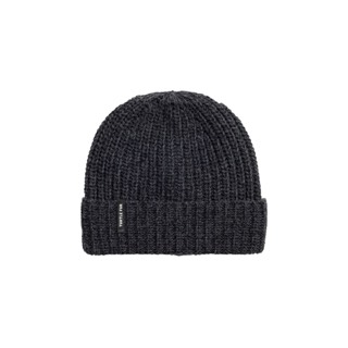 Turtle Fur Ocean Ragg Wool Ethan Beanie 2026