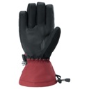 Dakine Titan 2.0 Gore-Tex Glove - Men's Rosewood image 3