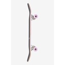 Globe Kids Complete Skateboard Wide / Peace of Man image 3