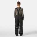 Helly Hansen Jr. Summit 2.0 Bib Pant - Youth Black image 4