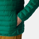 Helly Hansen Banff Hooded Insulator Jacket - Men's Emerald image 4