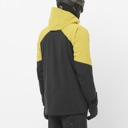 Salomon Moon Patrol GTX Jacket - Men's Cress Green / Deep Black image 4