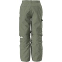 The North Face Freedom Pant - Men's Bark Mist image 3