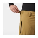 Helly Hansen Legendary Insulated Pant - Men's Lynx image 3