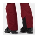 Helly Hansen Legendary Insulated Bib Pant - Men's Mars Red image 6