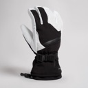 Black / Silver White